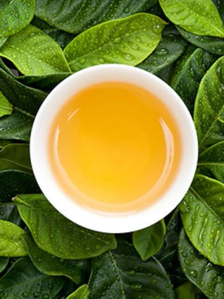 央视纪录频道茶第二集精彩片段