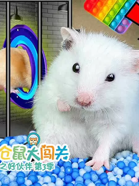 我们与驻在先生的700日战争