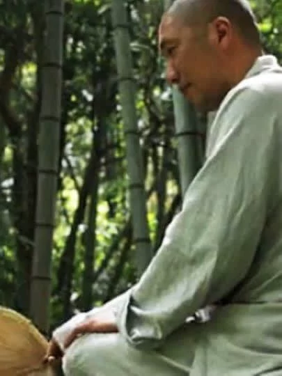 央视纪录频道茶