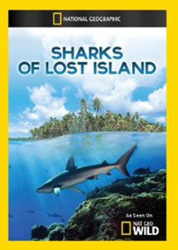失落岛的鲨鱼